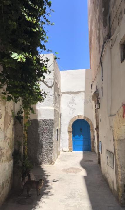 Riad Petite Reverie Essaouira Bagian luar foto